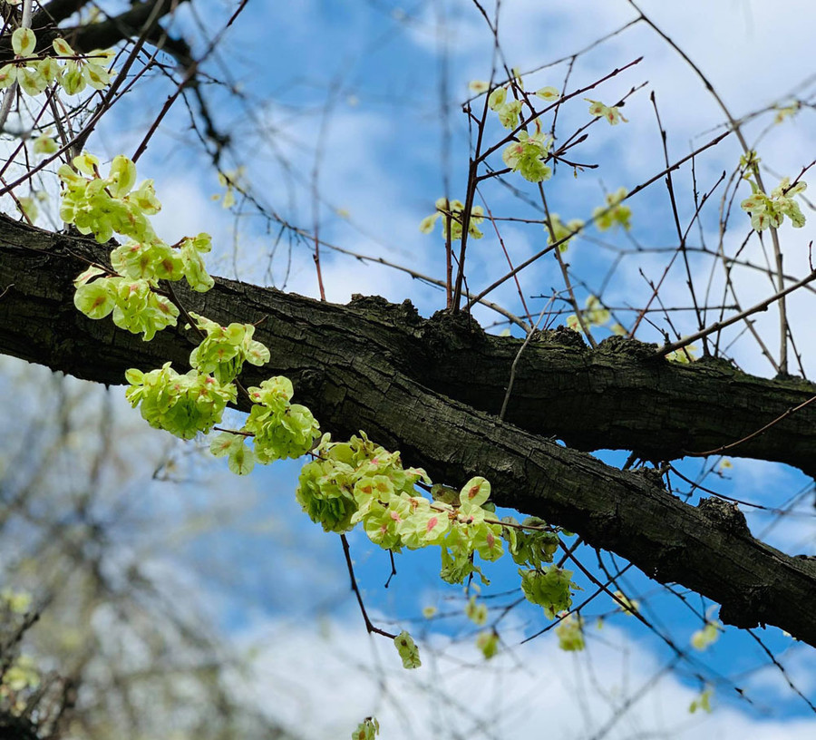 Cô dâu xinh đẹp biến mất trước ngày cưới, chú rể suy sụp ảnh 1 Cô dâu xinh đẹp biến mất trước ngày cưới, chú rể suy sụp ảnh 1
