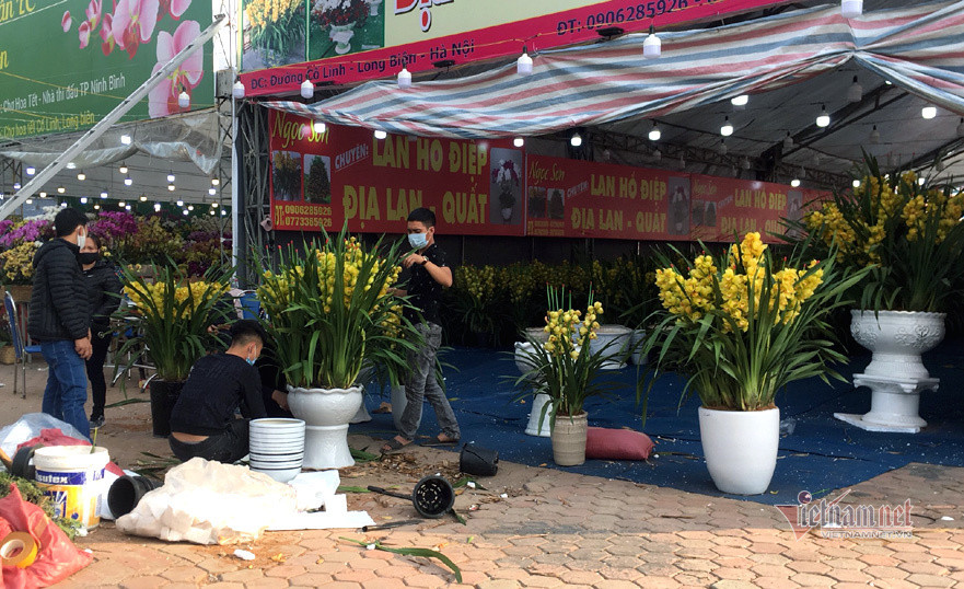 Những chậu hoa có giá từ vài triệu đến hàng chục triệu chất đầy gian hàng. Phố bán hoa nhà giàu bậc nhất Hà Nội, một mùa ế ẩm, chợ tàn sớm