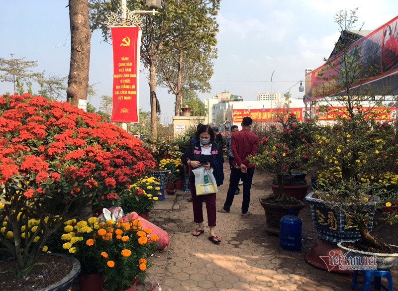 Tại nhiều gian hàng, lượng khách đến mua thưa thớt. Phố bán hoa nhà giàu bậc nhất Hà Nội, một mùa ế ẩm, chợ tàn sớm