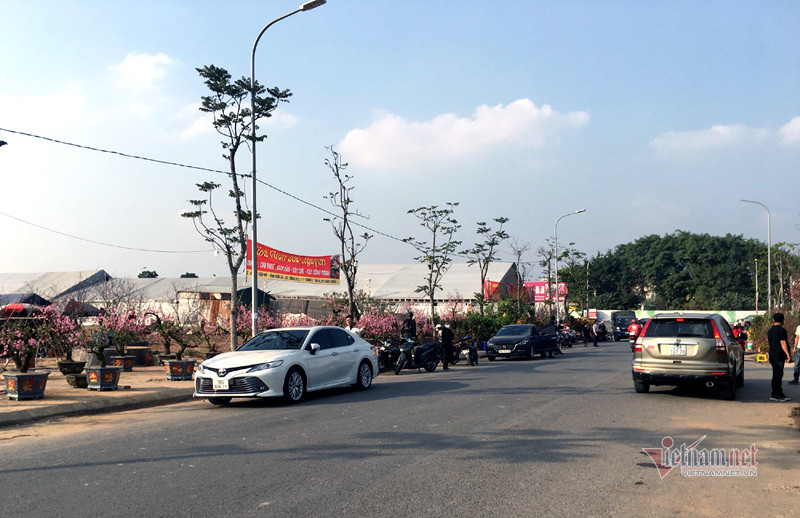 Hàng dài ô tô đỗ kín tại chợ hoa Tết trên đường Cổ Linh (Long Biên, Hà Nội). Phố bán hoa nhà giàu bậc nhất Hà Nội, một mùa ế ẩm, chợ tàn sớm