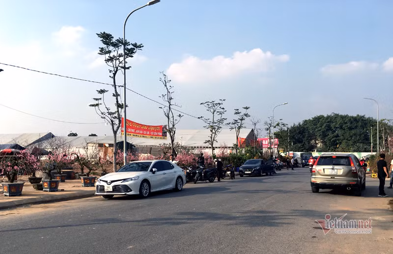 Phố bán hoa nhà giàu bậc nhất Hà Nội, một mùa ế ẩm, chợ tàn sớm