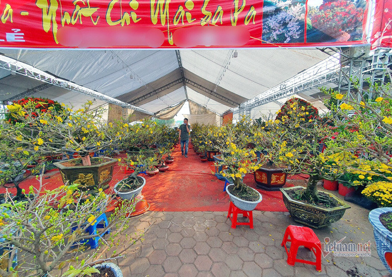 Do ảnh hưởng của dịch bệnh, không khí mua bán tại đây khá vắng vẻ, ảm đạm. Phố bán hoa nhà giàu bậc nhất Hà Nội, một mùa ế ẩm, chợ tàn sớm