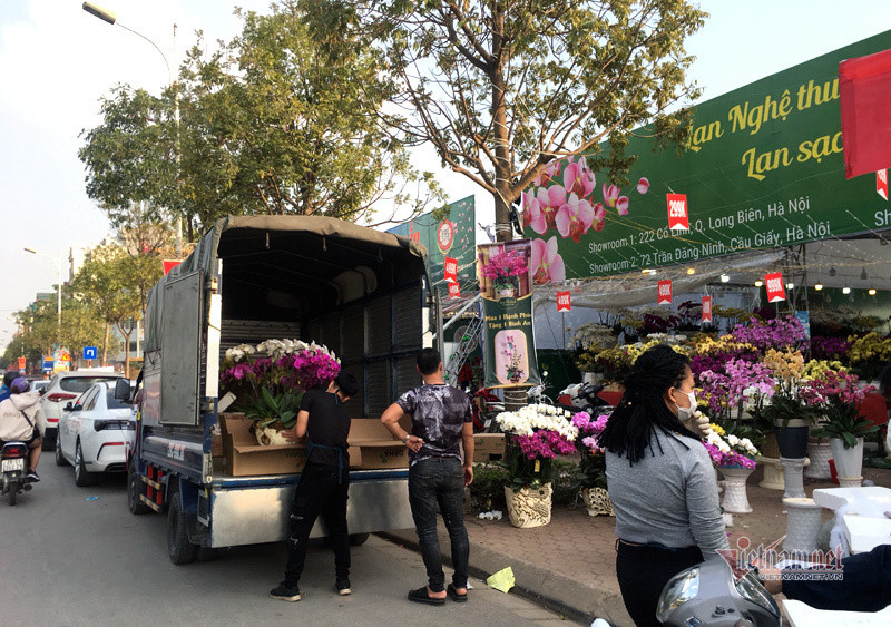 So với mọi năm, lượng khách mua hoa cao cấp giảm đáng kể. Phố bán hoa nhà giàu bậc nhất Hà Nội, một mùa ế ẩm, chợ tàn sớm