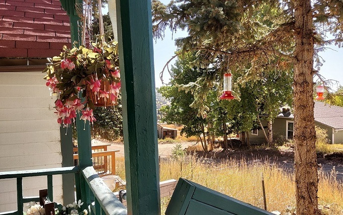 Ảnh: B.N. Nàng dâu khốn khổ vì chồng luôn là