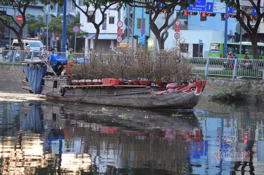 Tiểu thương bán hoa Tết phập phồng vì Covid-19