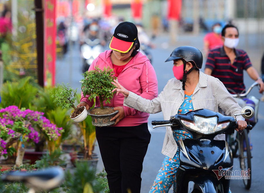 Tiểu thương bán hoa Tết phập phồng vì Covid-19