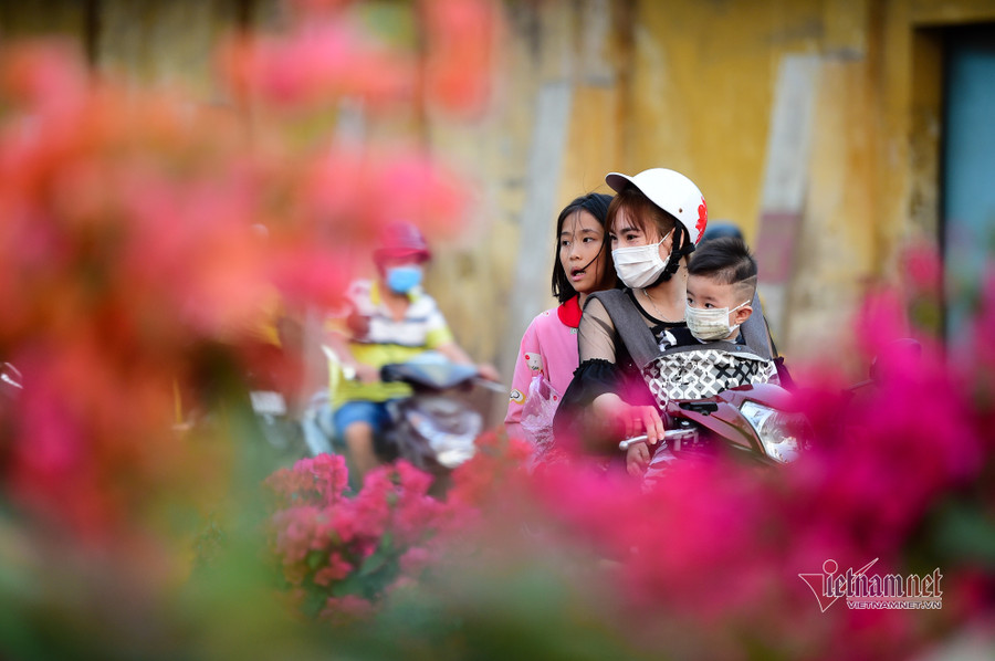 Tiểu thương bán hoa Tết phập phồng vì Covid-19