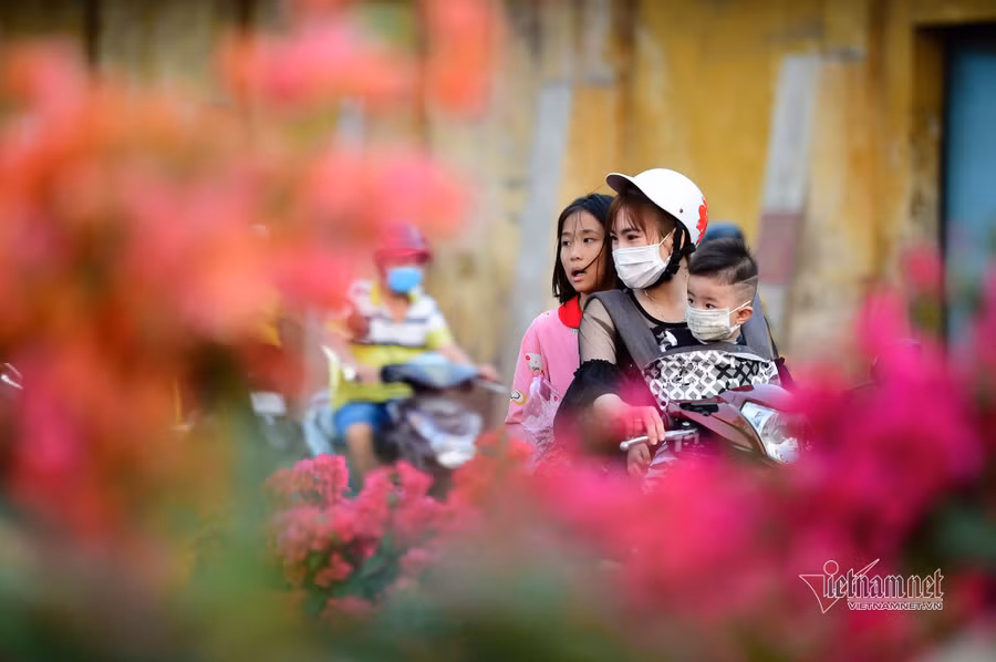 Tiểu thương bán hoa Tết phập phồng vì Covid-19