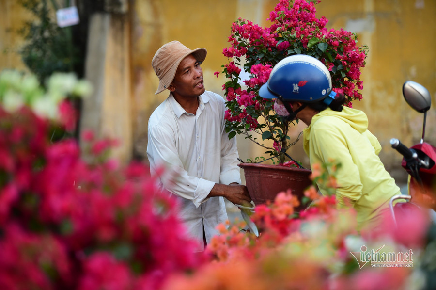 Tiểu thương bán hoa Tết phập phồng vì Covid-19