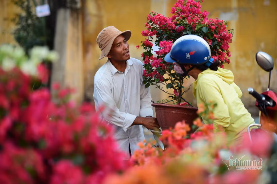 Tiểu thương bán hoa Tết phập phồng vì Covid-19