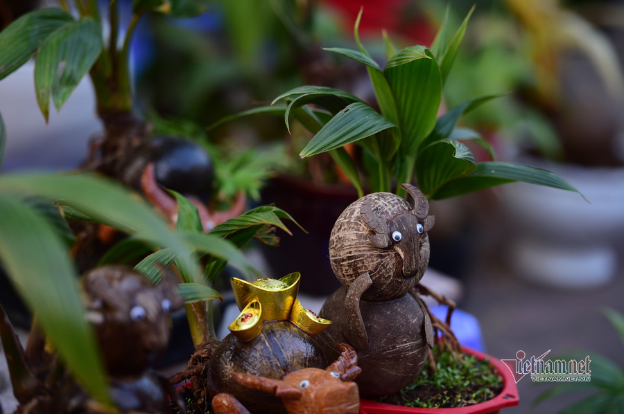 Tiểu thương bán hoa Tết phập phồng vì Covid-19