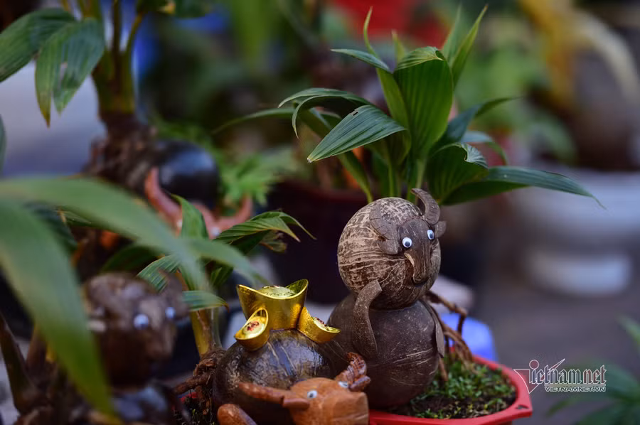 Tiểu thương bán hoa Tết phập phồng vì Covid-19