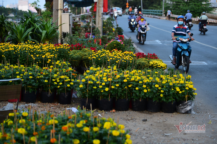 Tiểu thương bán hoa Tết phập phồng vì Covid-19
