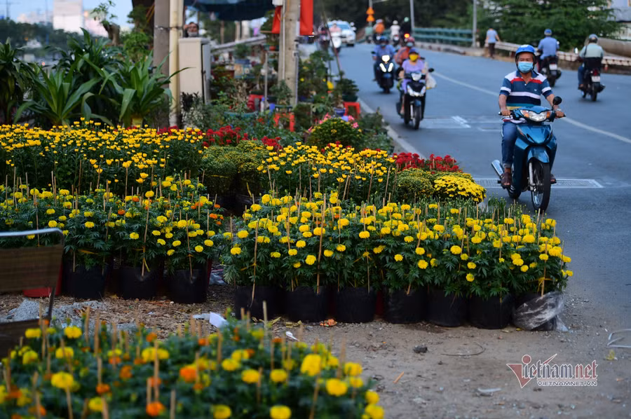 Tiểu thương bán hoa Tết phập phồng vì Covid-19