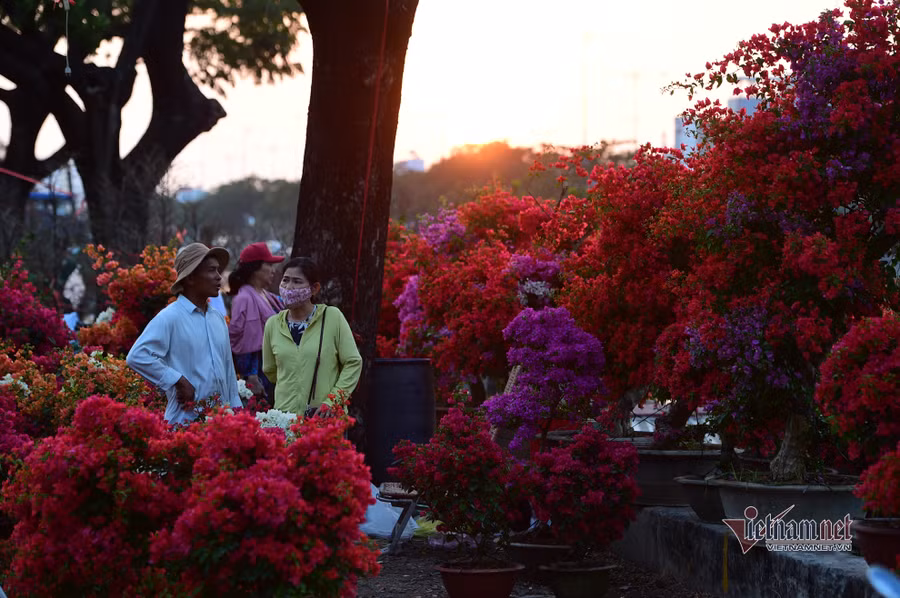 Tiểu thương bán hoa Tết phập phồng vì Covid-19