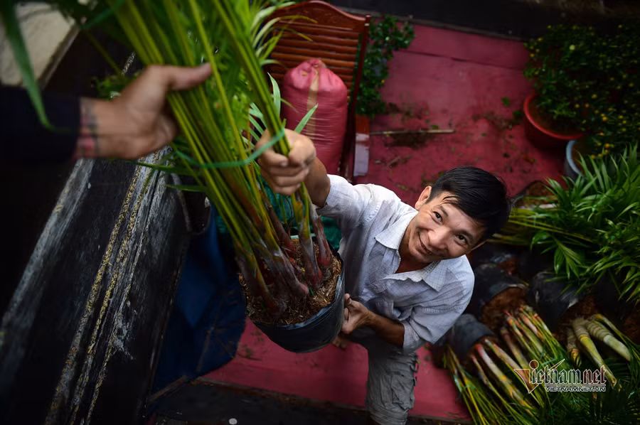 Tiểu thương bán hoa Tết phập phồng vì Covid-19