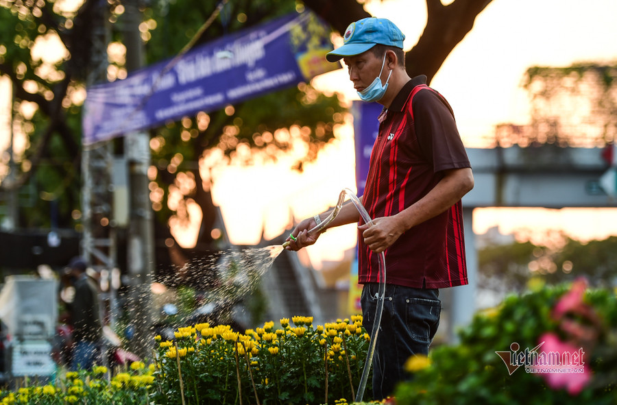 Tiểu thương bán hoa Tết phập phồng vì Covid-19