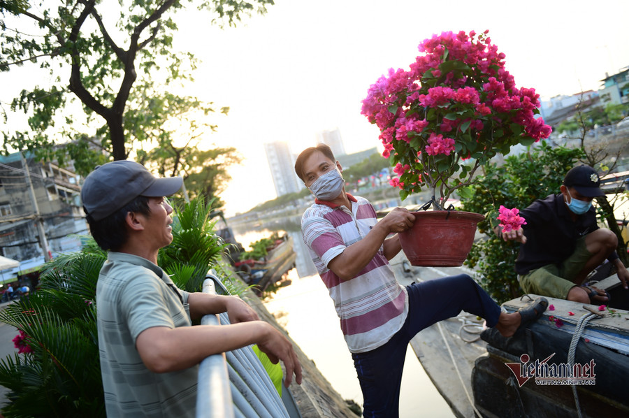 Tiểu thương bán hoa Tết phập phồng vì Covid-19