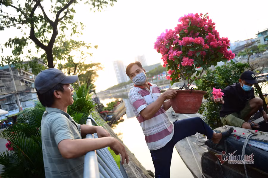 Tiểu thương bán hoa Tết phập phồng vì Covid-19