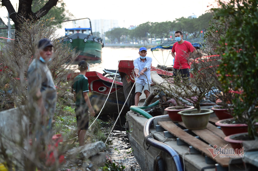 Tiểu thương bán hoa Tết phập phồng vì Covid-19