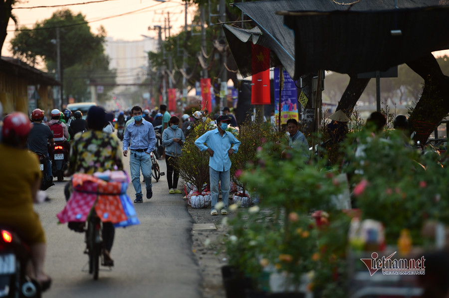 Tiểu thương bán hoa Tết phập phồng vì Covid-19
