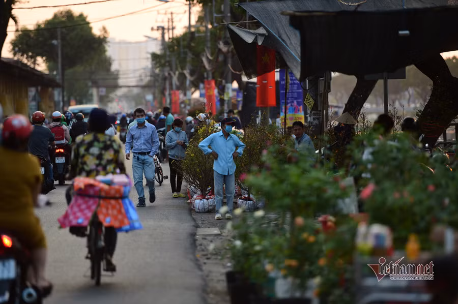 Tiểu thương bán hoa Tết phập phồng vì Covid-19
