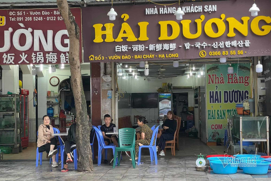 Nhân viên nhà hàng tại phố Vườn Đào ngồi chơi cả ngày vì không có khách. Nhân viên nhà hàng tại phố Vườn Đào ngồi chơi cả ngày vì không có khách.