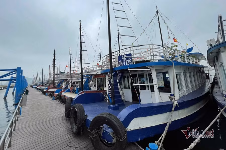 Tàu du lịch neo đậu chật kín khu vực cầu cảng.