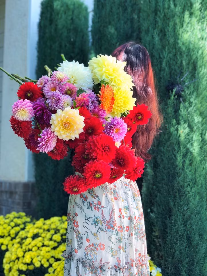 Chị gọi mình là 'người đàn bà cõng giấc mơ hoa'.