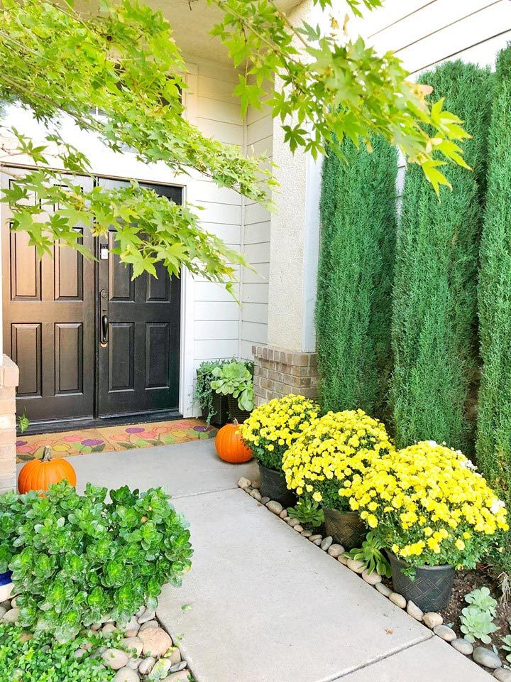 Những chậu hoa trồng trước cửa nhà.