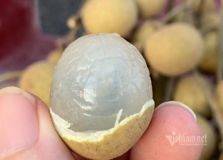 Cùi dày, ăn giòn, độ ngọt cao, hạt màu hơi hồng rất đặc biệt.