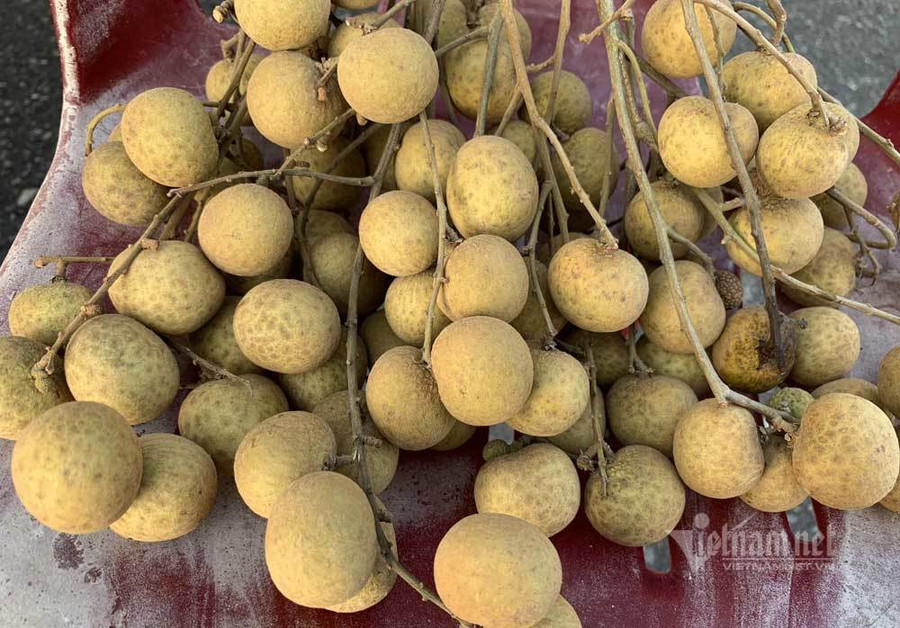 Loại nhãn này có vỏ màu da đồng.