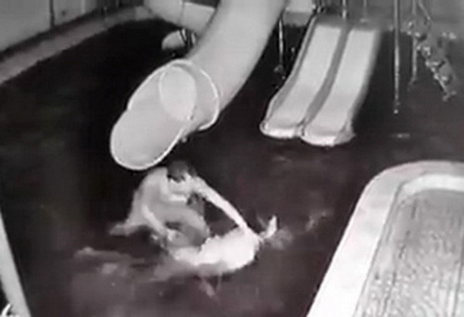 Chị Mai bị chồng bạo hành dã man, đẩy xuống hồ bơi, tay bóp cổ, dìm đầu xuống nước nhiều lần ( Ảnh : Cắt từ clip) Chị Mai bị chồng bạo hành dã man, đẩy xuống hồ bơi, tay bóp cổ, dìm đầu xuống nước nhiều lần ( Ảnh : Cắt từ clip)