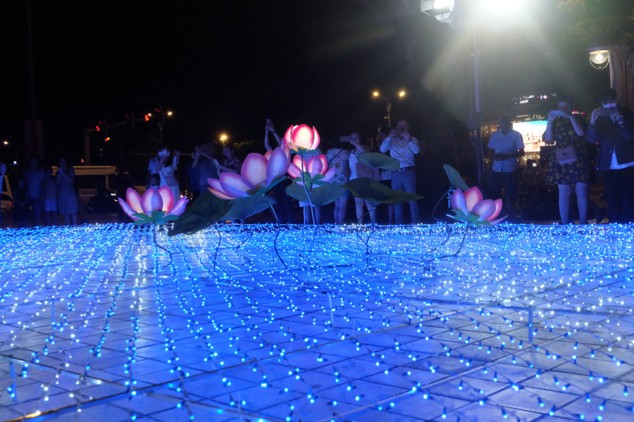 Không gian ánh sáng nghệ thuật được trình bày theo 3 chủ đề. Gồm đường vòm hoa anh đào, vườn hoa anh đào Nhật Bản và hồ hoa sen Việt Nam. Ảnh: Hoàng Vinh.