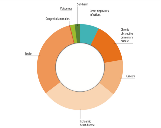 Phân bố tỷ lệ tử vong do các nhóm bệnh lý có liên quan đến hoá chất (WHO-2016) Phân bố tỷ lệ tử vong do các nhóm bệnh lý có liên quan đến hoá chất (WHO-2016)