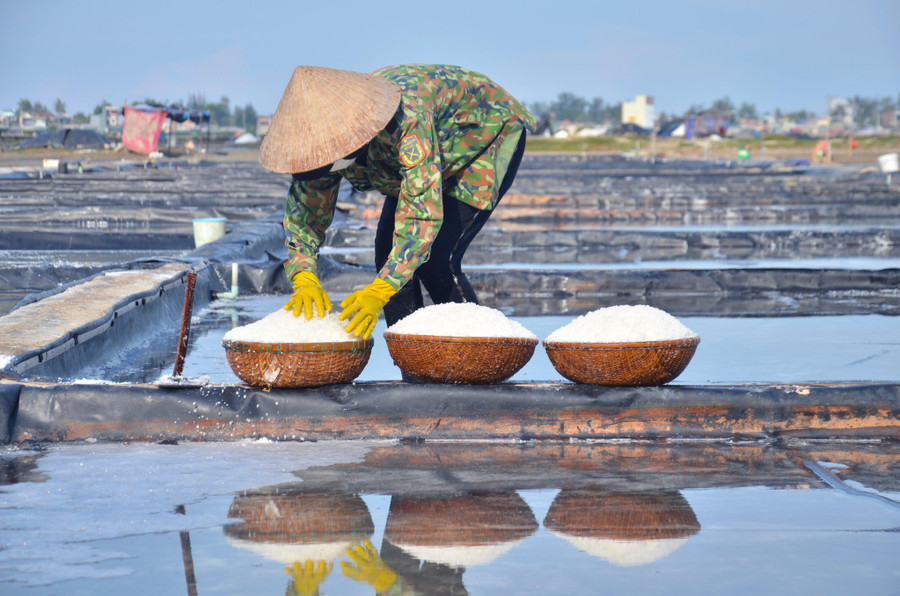 Bà Lê Thị Tên ngụ phường Phổ Thạnh, thị xã Đức Phổ chia sẻ thêm, những tháng qua thời tiết mưa thất thường khiến năng suất muối bị giảm, nhà bà có hơn 2 sào muối nhưng từ đầu tháng 6 đến nay mới chỉ thu được 5 đợt, mỗi đợt nhanh nhất phải mất 2 ngày nắng gắt mới có muối. Bà Lê Thị Tên ngụ phường Phổ Thạnh, thị xã Đức Phổ chia sẻ thêm, những tháng qua thời tiết mưa thất thường khiến năng suất muối bị giảm, nhà bà có hơn 2 sào muối nhưng từ đầu tháng 6 đến nay mới chỉ thu được 5 đợt, mỗi đợt nhanh nhất phải mất 2 ngày nắng gắt mới có muối.