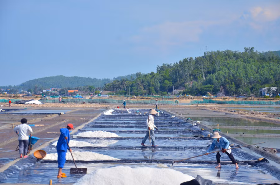 Theo nhiều diêm dân, thương lái đã không còn thu mua muối với giá cao như đầu tháng 6 nữa nhưng với mức giá như hiện nay vẫn là gấp đôi, gấp ba cùng kỳ những năm trước. Thừa nhận khả năng đợt giá ‘bùng nổ’ như vừa qua không còn quay trở lại ít nhất là trong thời gian ngắn.
