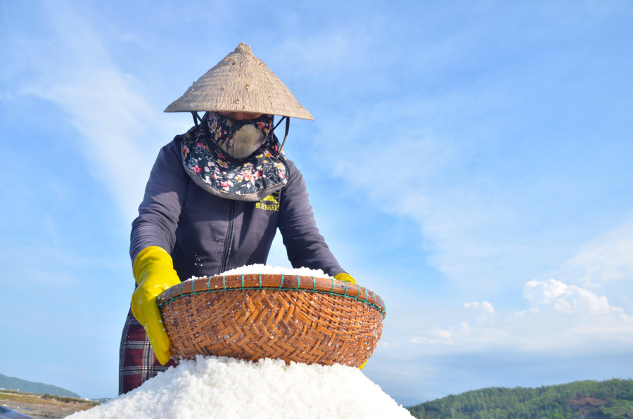 Lý giải cho việc giá muối tăng cao, chị Diệu chia sẻ, cao điểm vụ muối hằng năm là vào mùa nắng độ tháng 3 đến tháng 8, năng suất nhất là vào tháng 5 và tháng 6 nhưng năm nay do thời tiết ở hai tháng cao điểm trên diễn biến thất thường nên mới có việc được giá mất mùa. Lý giải cho việc giá muối tăng cao, chị Diệu chia sẻ, cao điểm vụ muối hằng năm là vào mùa nắng độ tháng 3 đến tháng 8, năng suất nhất là vào tháng 5 và tháng 6 nhưng năm nay do thời tiết ở hai tháng cao điểm trên diễn biến thất thường nên mới có việc được giá mất mùa.