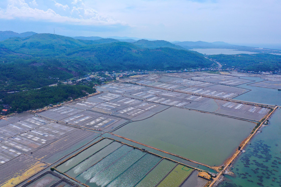 Với diện tích khoảng 105ha, cánh đồng muối Sa Huỳnh ở phường Phổ Thạnh, thị xã Đức Phổ, tỉnh Quảng Ngãi là kế sinh nhai của khoảng 2.400 diêm dân thuộc 3 tổ dân phố là Tân Diêm, Thạnh Đức 1 và Long Thạnh 1. Với diện tích khoảng 105ha, cánh đồng muối Sa Huỳnh ở phường Phổ Thạnh, thị xã Đức Phổ, tỉnh Quảng Ngãi là kế sinh nhai của khoảng 2.400 diêm dân thuộc 3 tổ dân phố là Tân Diêm, Thạnh Đức 1 và Long Thạnh 1.