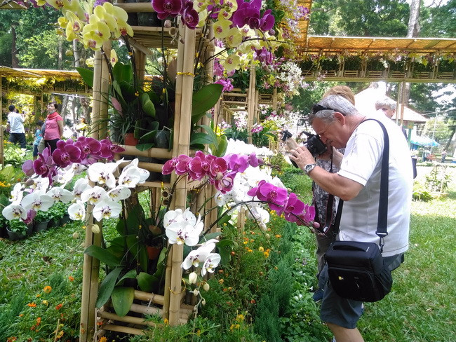 Khách du lịch quốc tế tham quan và chụp hình tại Festival Hoa lan.