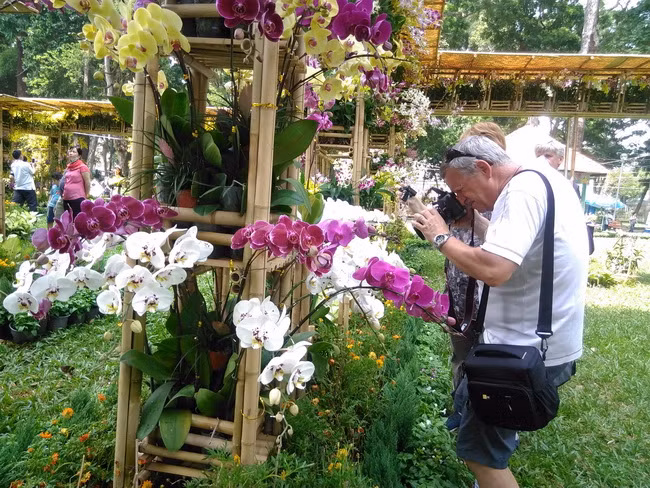 Khách du lịch quốc tế tham quan và chụp hình tại Festival Hoa lan. Khách du lịch quốc tế tham quan và chụp hình tại Festival Hoa lan.