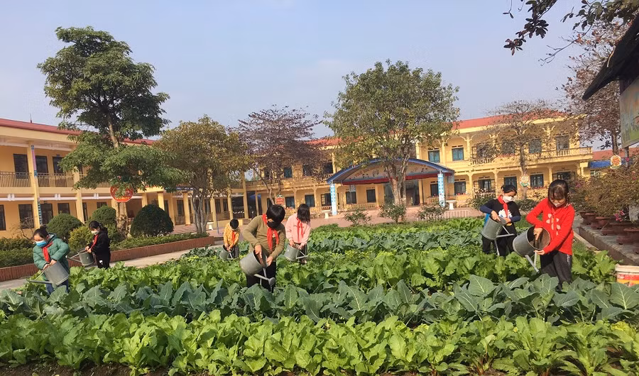 Học sinh Trường Tiểu học Đồng Doãn Khuê (Đại Từ, Thái Nguyên) chăm sóc vườn rau nhà trường.