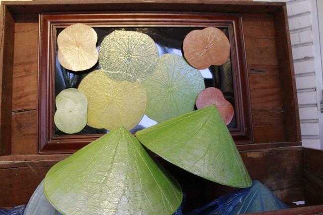 Chiếc nón làm từ lá sen.