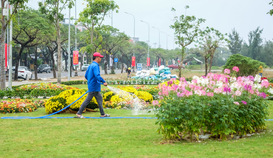 Nhân viên chăm sóc vườn hoa. Ảnh: Hoàng Vinh. Nhân viên chăm sóc vườn hoa. Ảnh: Hoàng Vinh.