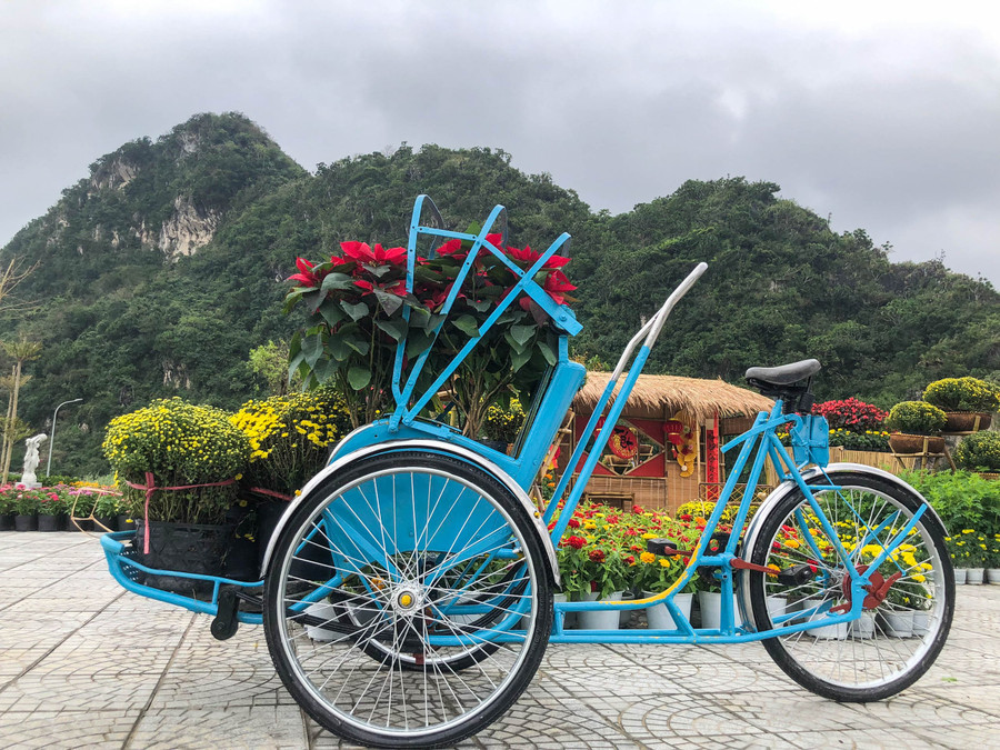 Xe xích lô chở hoa. Ảnh: Hoàng Vinh. Xe xích lô chở hoa. Ảnh: Hoàng Vinh.