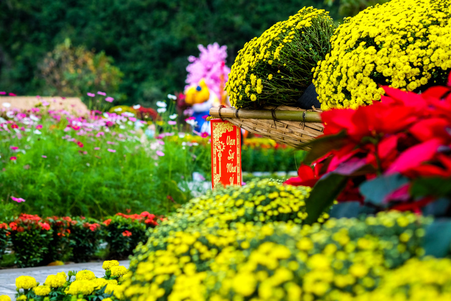 Khu vực công viên được trang trí nhiều loại hoa đặc trưng dịp Tết như hoa đồng tiền, mâm xôi, cánh bướm, hoa trạng nguyên, hoa xác pháo, vạn thọ... rực rỡ sắc màu. Ảnh: Hoàng Vinh. Khu vực công viên được trang trí nhiều loại hoa đặc trưng dịp Tết như hoa đồng tiền, mâm xôi, cánh bướm, hoa trạng nguyên, hoa xác pháo, vạn thọ... rực rỡ sắc màu. Ảnh: Hoàng Vinh.