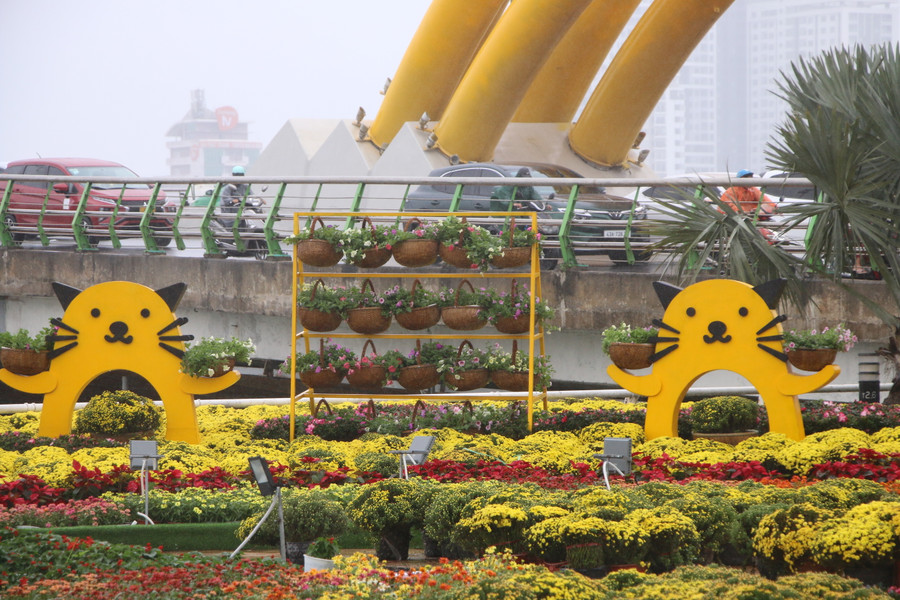 Theo Sở Xây dựng TP. Đà Nẵng, trên địa bàn có 9 vị trí được trang trí hoa Tết Quý Mão năm 2023, gồm: Trung tâm hành chính TP, đường Thành Điện Hải; vỉa hè phía Đông 42 Bạch Đằng (trước cầu chữ T); vỉa hè trước 72 Bạch Đằng; trang trí hoa quảng trường phía Bắc đuôi Cầu Rồng (phía quận Hải Châu); quảng trường phía Nam đuôi Cầu Rồng (phía quận Hải Châu); vỉa hè trước số 12 Trần Phú; trước vỉa hè 32 Bạch Đằng; trước vỉa hè 23 Trần Phú; quảng trường phía Bắc đầu Cầu Rồng (phía quận Sơn Trà). Ảnh: Hoàng Vinh. Theo Sở Xây dựng TP. Đà Nẵng, trên địa bàn có 9 vị trí được trang trí hoa Tết Quý Mão năm 2023, gồm: Trung tâm hành chính TP, đường Thành Điện Hải; vỉa hè phía Đông 42 Bạch Đằng (trước cầu chữ T); vỉa hè trước 72 Bạch Đằng; trang trí hoa quảng trường phía Bắc đuôi Cầu Rồng (phía quận Hải Châu); quảng trường phía Nam đuôi Cầu Rồng (phía quận Hải Châu); vỉa hè trước số 12 Trần Phú; trước vỉa hè 32 Bạch Đằng; trước vỉa hè 23 Trần Phú; quảng trường phía Bắc đầu Cầu Rồng (phía quận Sơn Trà). Ảnh: Hoàng Vinh.