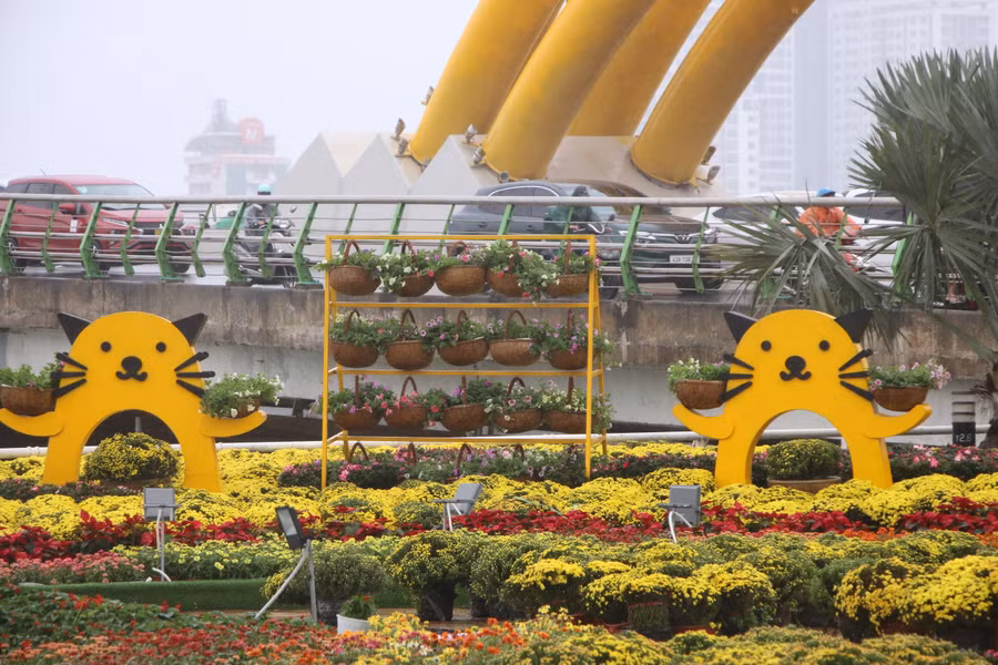 Theo Sở Xây dựng TP. Đà Nẵng, trên địa bàn có 9 vị trí được trang trí hoa Tết Quý Mão năm 2023, gồm: Trung tâm hành chính TP, đường Thành Điện Hải; vỉa hè phía Đông 42 Bạch Đằng (trước cầu chữ T); vỉa hè trước 72 Bạch Đằng; trang trí hoa quảng trường phía Bắc đuôi Cầu Rồng (phía quận Hải Châu); quảng trường phía Nam đuôi Cầu Rồng (phía quận Hải Châu); vỉa hè trước số 12 Trần Phú; trước vỉa hè 32 Bạch Đằng; trước vỉa hè 23 Trần Phú; quảng trường phía Bắc đầu Cầu Rồng (phía quận Sơn Trà). Ảnh: Hoàng Vinh.