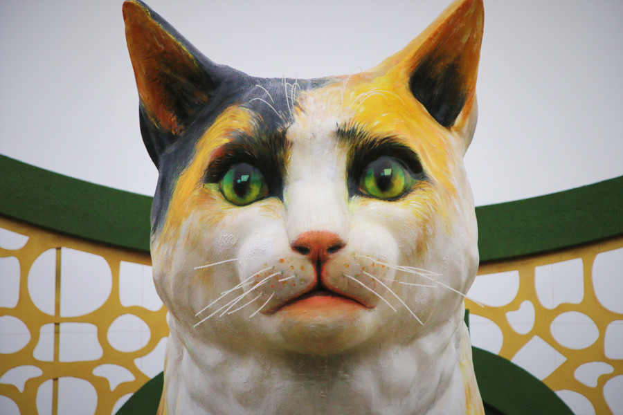 Khuôn mặt mèo tại đường hoa Xuân Đà Nẵng. Ảnh: Hoàng Vinh. Khuôn mặt mèo tại đường hoa Xuân Đà Nẵng. Ảnh: Hoàng Vinh.