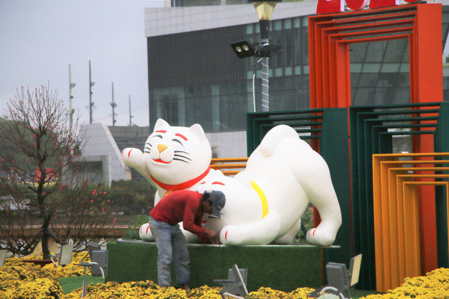 Những chú mèo ngộ nghĩnh. Ảnh: Hoàng Vinh. Những chú mèo ngộ nghĩnh. Ảnh: Hoàng Vinh.